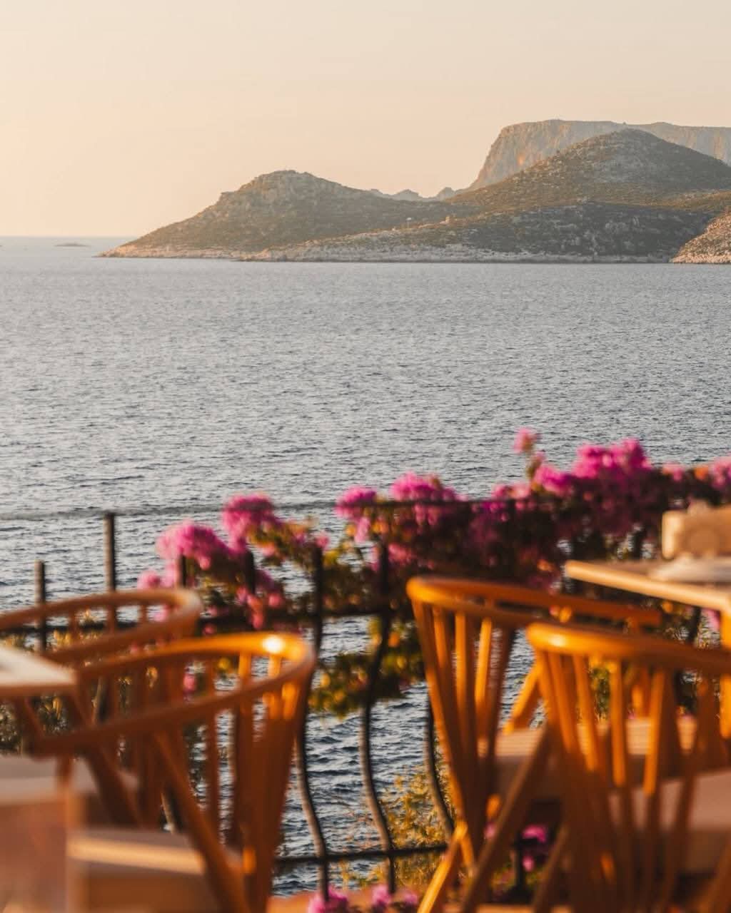 Villa Hotel Tamara — фотография 2 из публикации